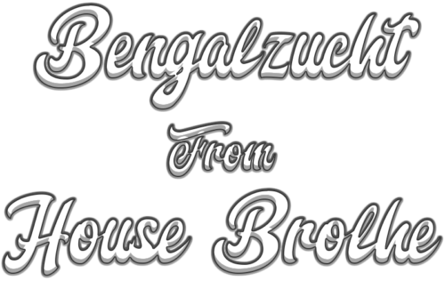 cropped-logo_modern.png