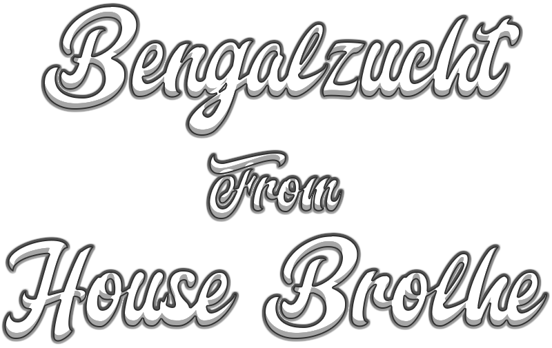 Bengalkatzen from House Brolhe