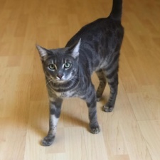 Bild01